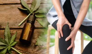 CBD Oil and Their Benefits as a Pain Relief for Muscle Spasm